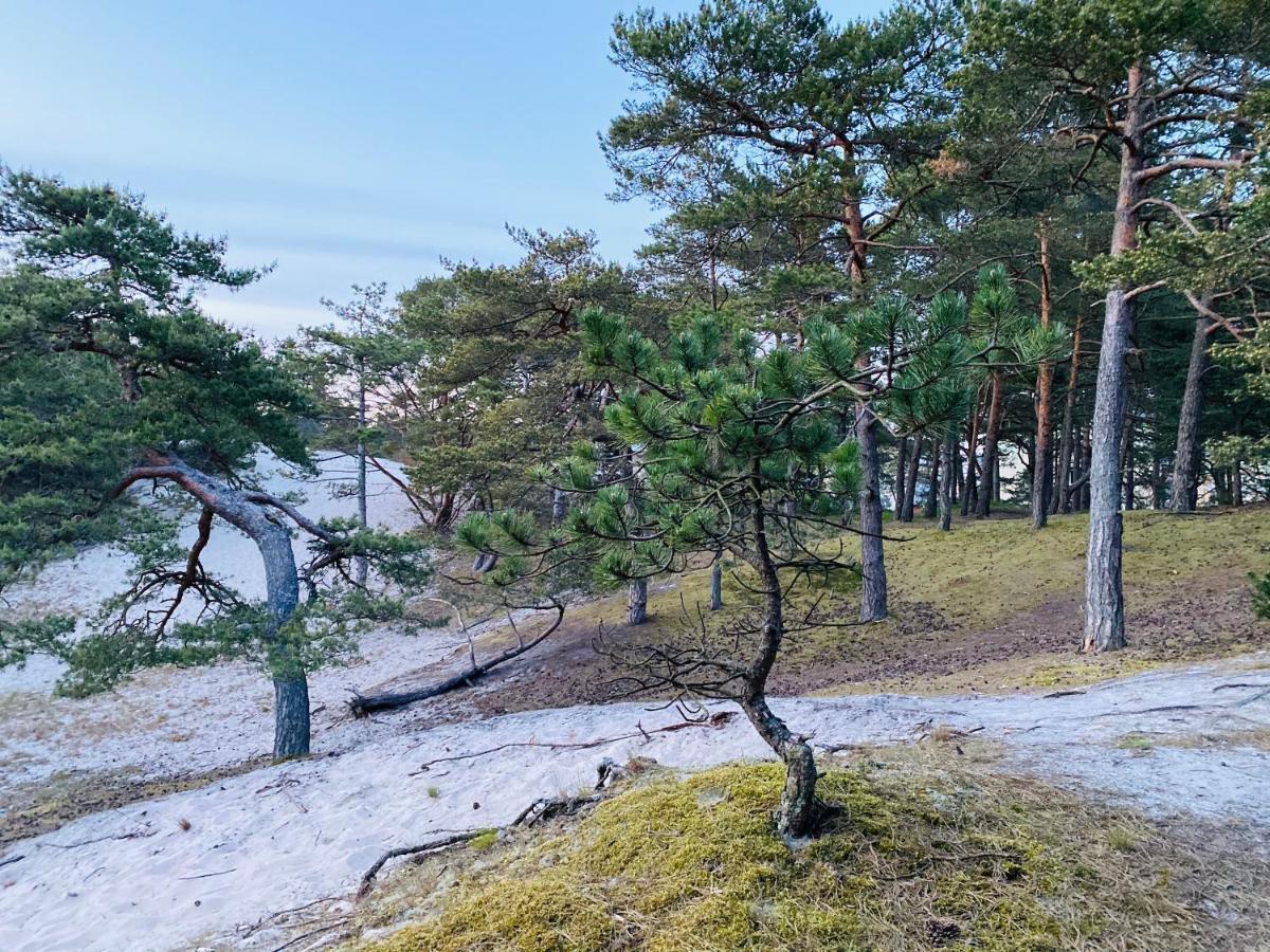 Siedlisko Wytowno Vila Ustka Exterior foto